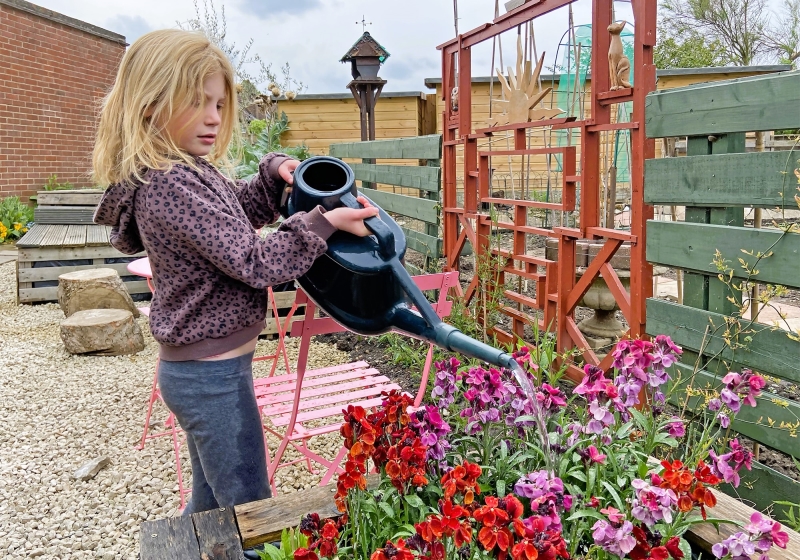 Roehampton Garden Society Allotments